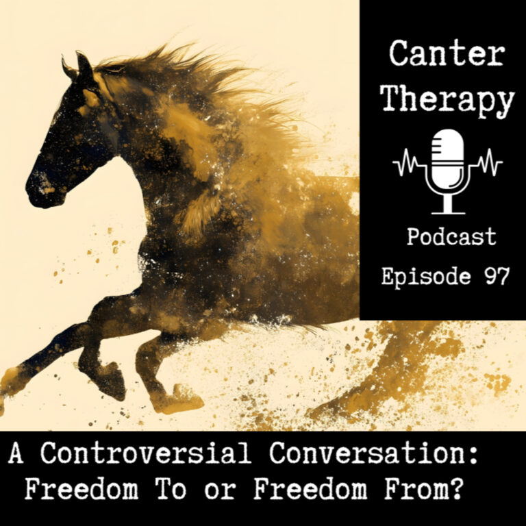 Episode 97. A Controversial Conversation: Freedom To or Freedom From?