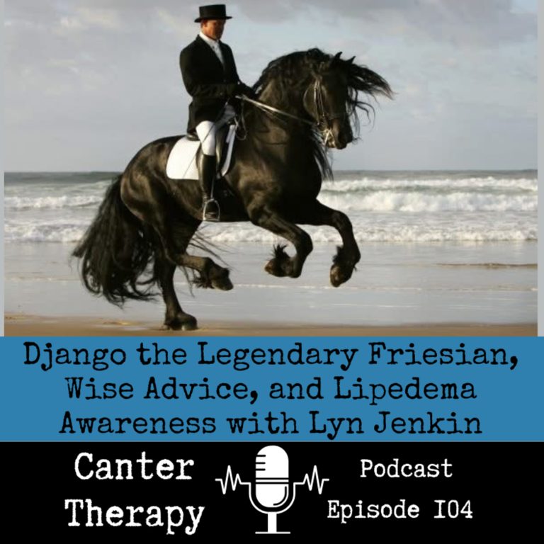 104. Django the Legendary Friesian, Wise Advice, and Lipoedemia Awareness with Lynn Jenkin